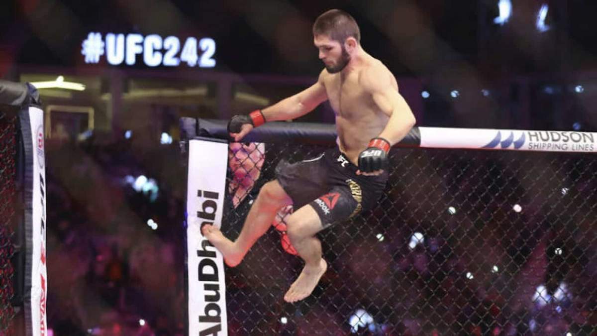 Why was khabib removed from plane